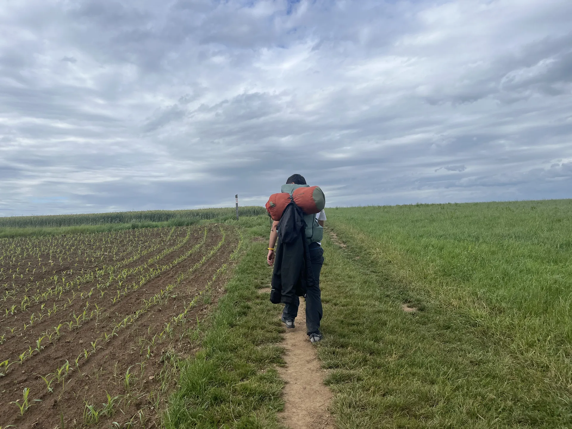 Eduardo on a field